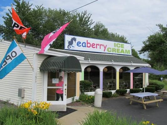 Seaberry Ice Cream!