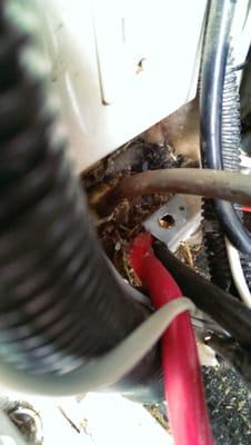 Improperly installed solar panels, 2 gauge wire run under an existing hole...under a METAL bracket.