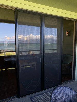 French set of sliding screen doors with lock system included.