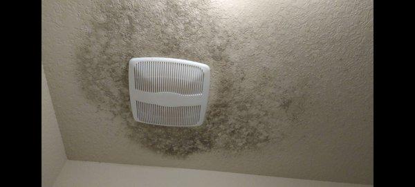 Mold after only 7 months. Do you want your children or family to breathe air from this room? I didn't think so.