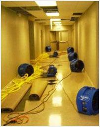 Emergency Water Damage Services in Ventura, CA