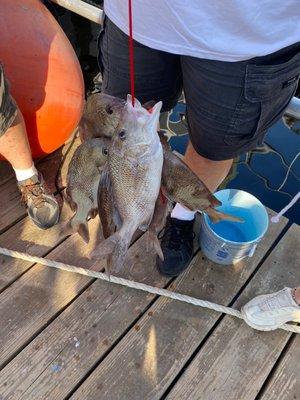 Miss Virginia Deep Sea Fishing