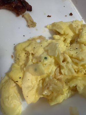 Blue/green mold in my eggs. The pepper I spread on was to mask the taste.  I assume my French toast wad cooked in the same egg mixture