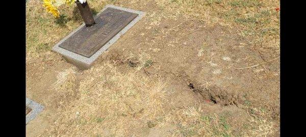 Cracked and dry ground splitting open at at gravesite