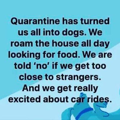 Quarantine, how are you holding up?