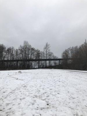 Looking down to the beach, active train tracks above