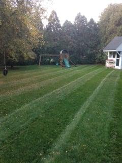 Lawn in Concord Ma fertilized by Elite Turf Care