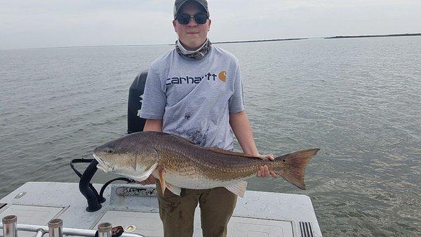 Giant bull sight caught with matrix craw