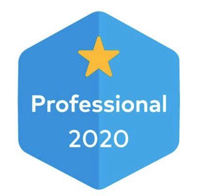 GARAGE DOOR PROFESSIONAL 2020