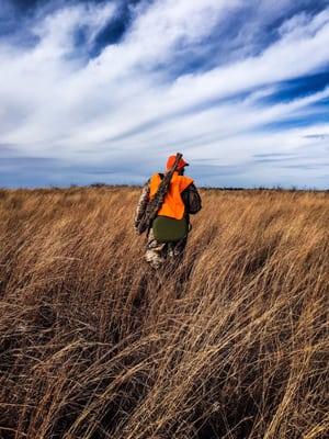 Black Kettle National Grassland WMA (always wear hunter orange when you're hunting! Safety first).