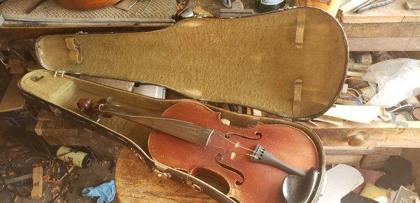 Stringed Instrument Restoration