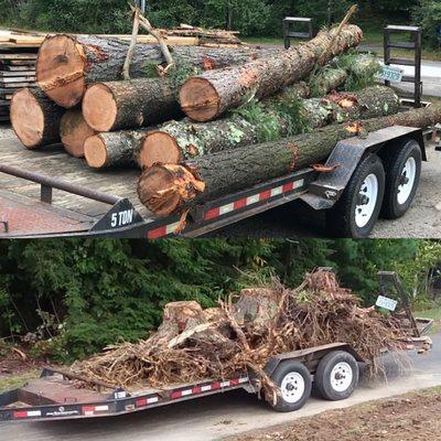 Tree & Stump Removal