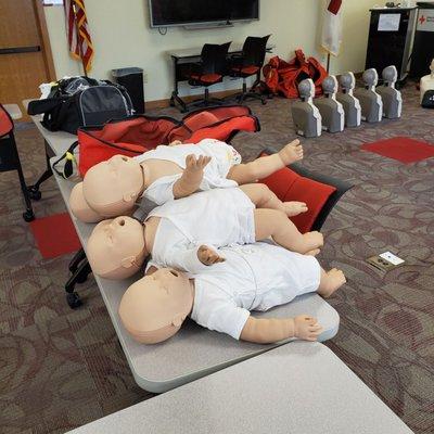 CPR - pediatric and adult