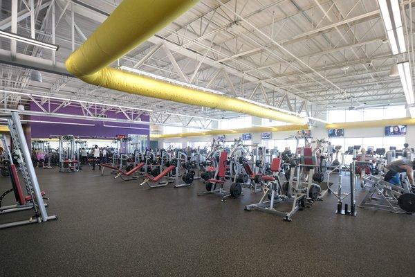 The Wellness Center features all new free weights, weight machines and cardio equipment, with a great view from all sides.