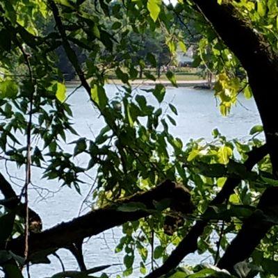 view of the river from the trail (telephoto shot...it is tough to see the river!)