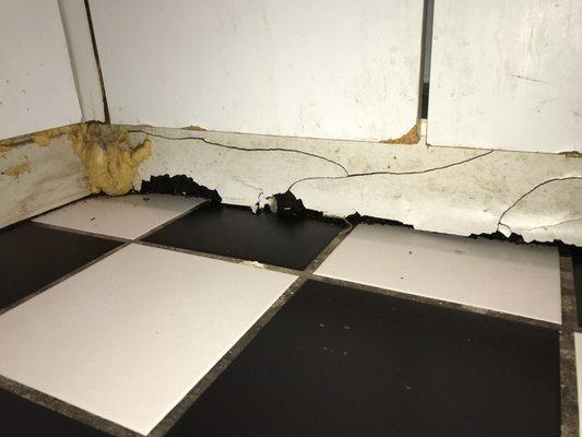 Cabinets further crumbled from a defective dishwasher which was ignored by Watassa even after being told of extensive water damage.