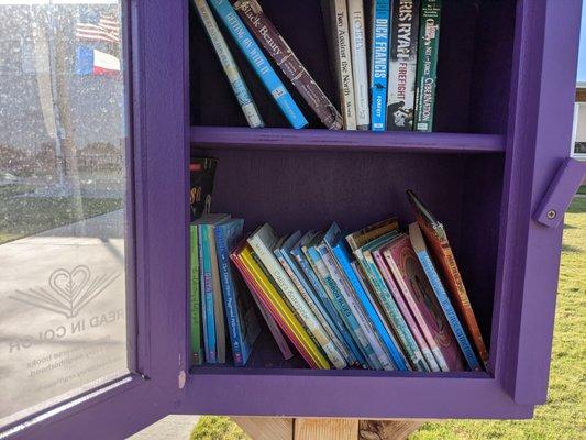 Little Free Library, Pampa