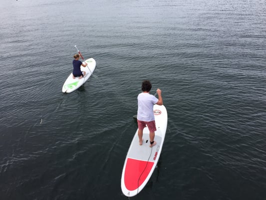 Locals go paddling