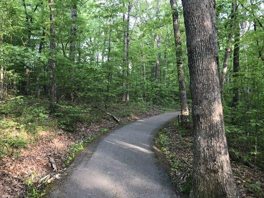 Central Trails Paved Paths Nature Trails