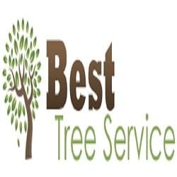 Best Tree Service