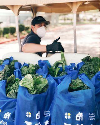 Our Tandem Organic Farm provides free fresh produce to the Yolo Food Bank, Aggie Compass, and our Tandem communities via pop-up events.