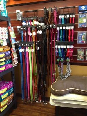 Fun colorful collars & leashes!