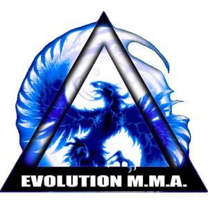 Evolution MMA  Brazilian Jiu Jitsu, Boxing, MMA, Muay Thai classes in Schaumburg, Il.