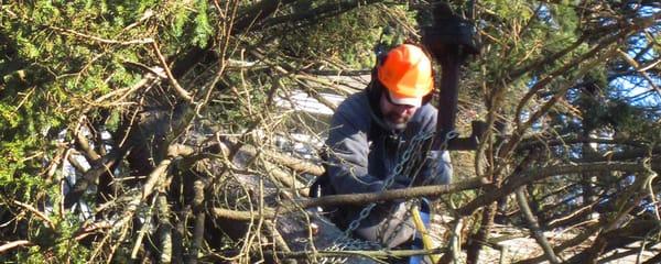 Emergency and Storm Damage