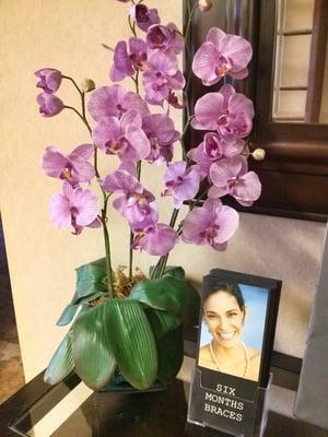 Some of the flower decorations in the office