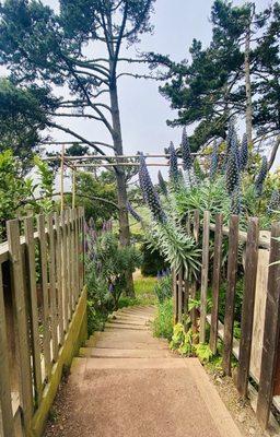 Stairs leading to Glen Canyon Park below