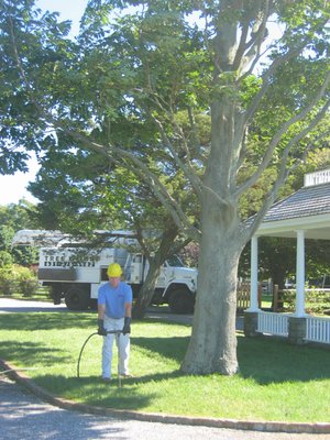 Deep Root Feeding with bio-active fertilizer