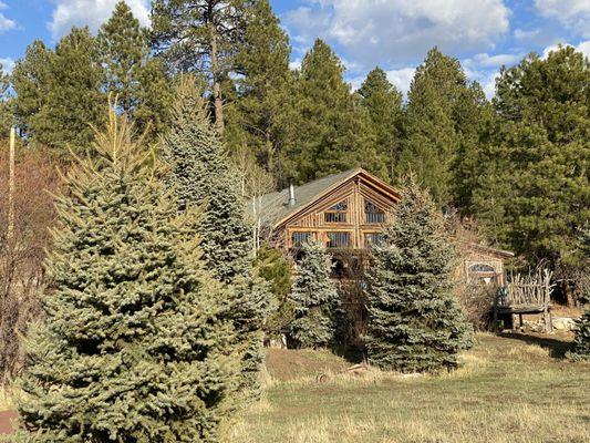 Front of our 4 bedroom, 3 full bath Log Cabin Home on fenced acreage