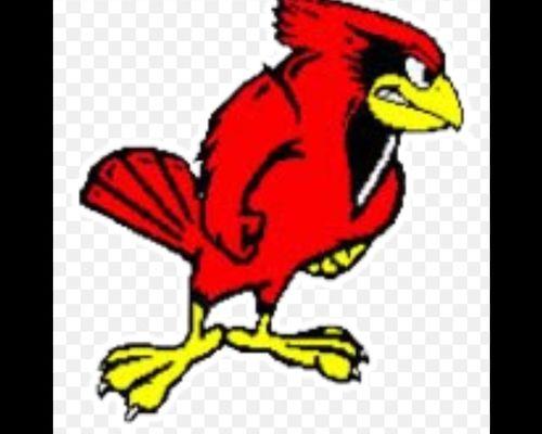 Cardinal - School Mascot  HOO-RYDE