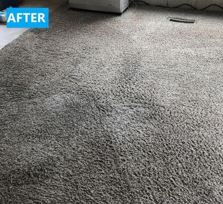 Some before and after shots from a job we did this week. The HOST system knocks out tough stains with ease and leaves your carpet clean and