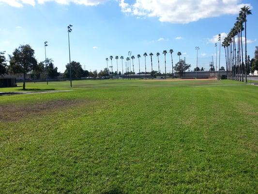 Baseball diamond