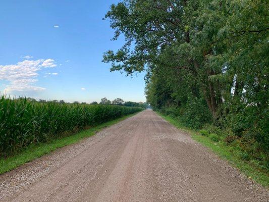 The dirt road to drive on to arrive at Elkhorn Crossing Recreation Area.