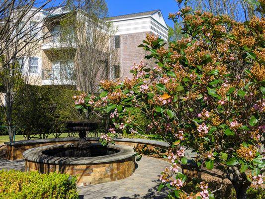 Addie's Garden is a lovely, tranquil spot adjacent to Forest apartments and Heartwood Café.