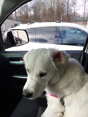 Harper waiting for her class to start.