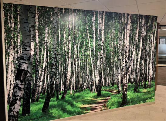 Custom Wall Wrap in Office space