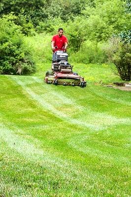 Lawn Maintenance and service