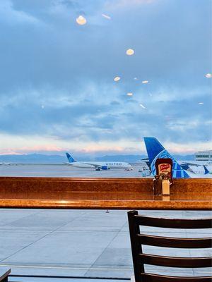 View of United tarmac