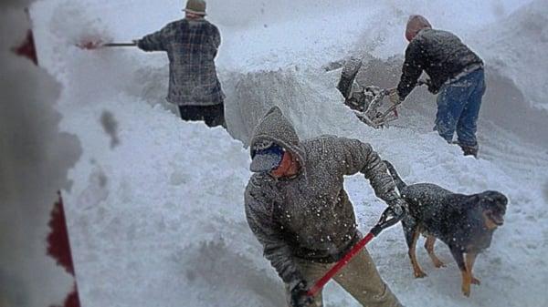 Don't get caught in a snow drift. Affordable - Residential snow removal service & we will be there the next time it snows!