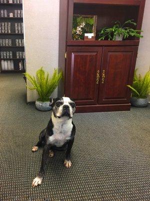 Rosalie is our resident greeter. She would love to meet you!