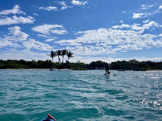 Salty Dog Paddle