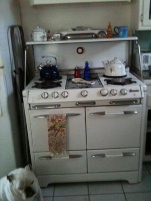 This is what my whole 1949 old O"Keefe and Merritt stove looks like now.  Isn't she beautiful!  That's a bit of Sumo my English Bulldog, too