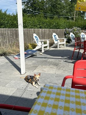 Dog friendly, ample seating and lawn games!