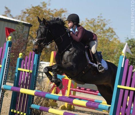 Action in one of the showjumping arenas.