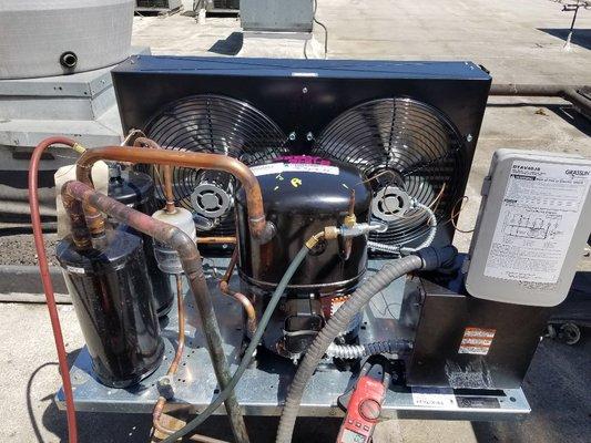 walk in cooler condensing unit