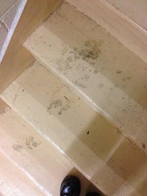 Forever dirty stairs!