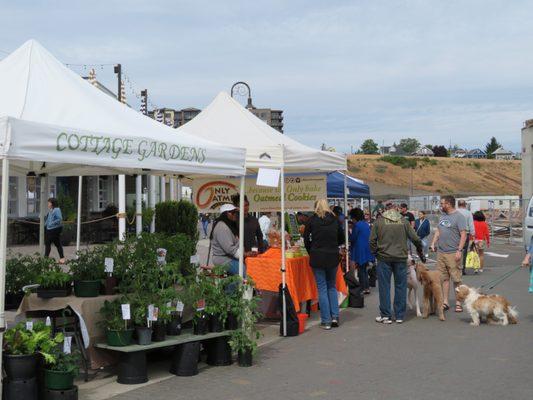 Tacoma Farmers Market: